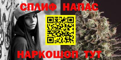 стафф Будённовск