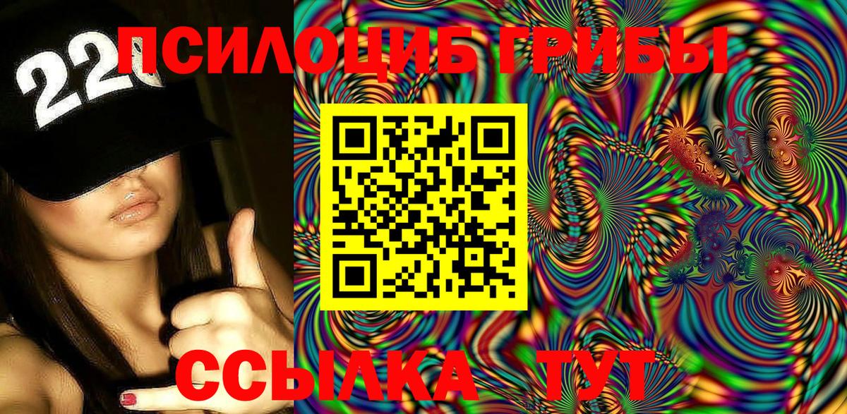 Галлюциногенные грибы Psilocybe Приморско-Ахтарск